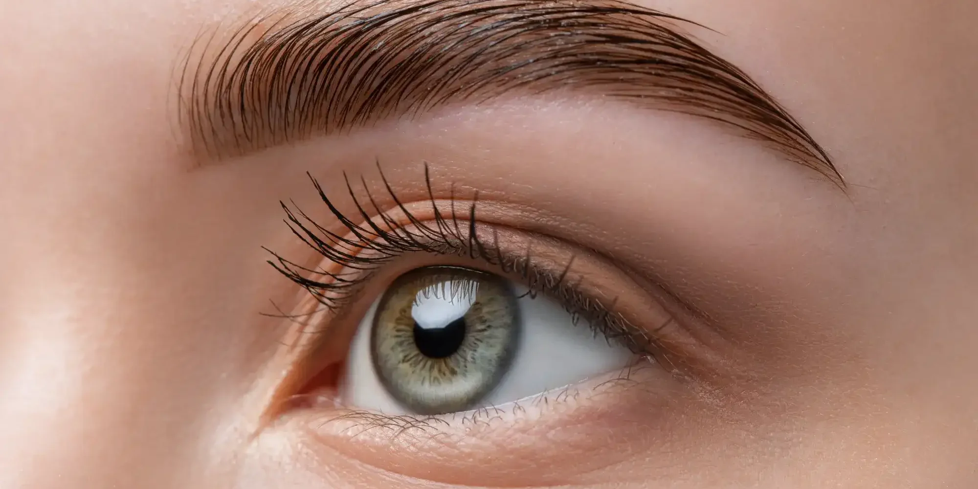 Close-up of a hair restoration or eyebrow transplant procedure performed by a medical professional in a clinic setting.